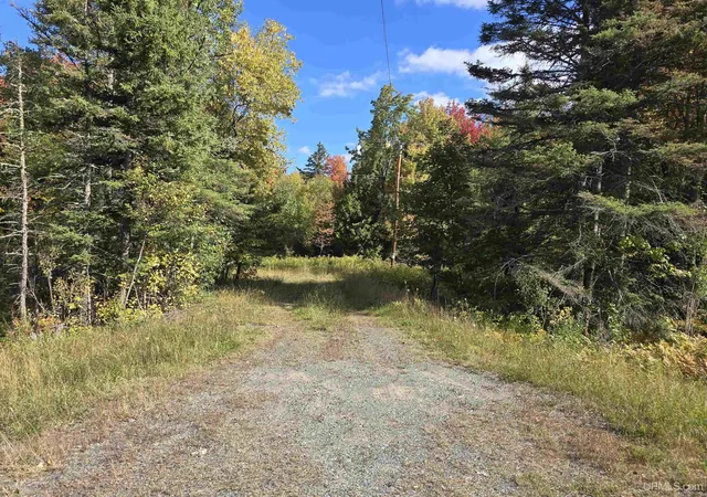Photo 2 of Land for sale at Tbd Us 141 Hwy, Covington, MI 49919 | MLS# 50223865 | Listing updated on 2026-10-05
