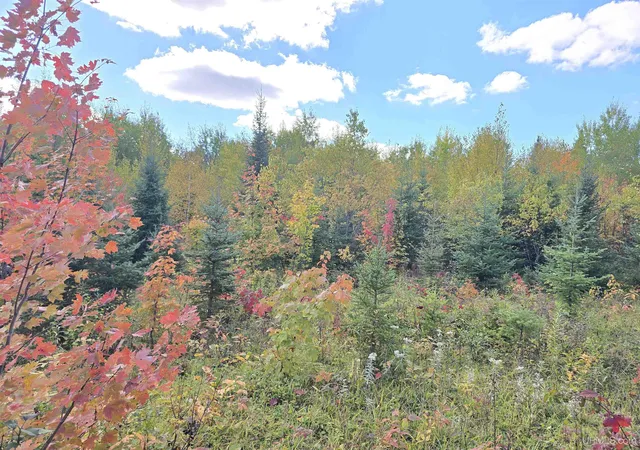 Photo 3 of Land for sale at Tbd Us 141 Hwy, Covington, MI 49919 | MLS# 50223865 | Listing updated on 2026-10-05