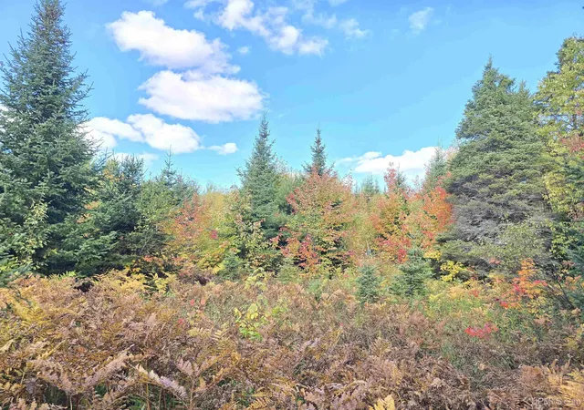Photo 3 of Land for sale at Tbd US 141 Hwy, Covington, MI 49919 | MLS# 50223865 | Listing updated on 2026-10-05
