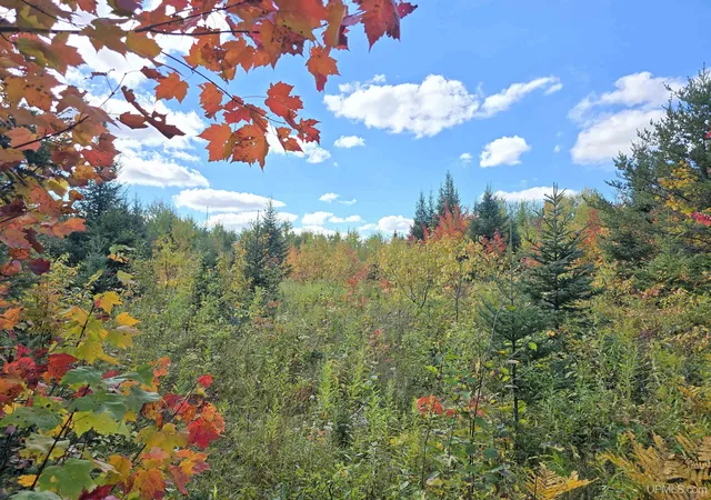 Photo 4 of Land for sale at Tbd US 141 Hwy, Covington, MI 49919 | MLS# 50223865 | Listing updated on 2026-10-05