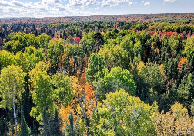 Land for sale at Tbd Horoscope Rd, Pelkie, MI 49958 | MLS# 50224344