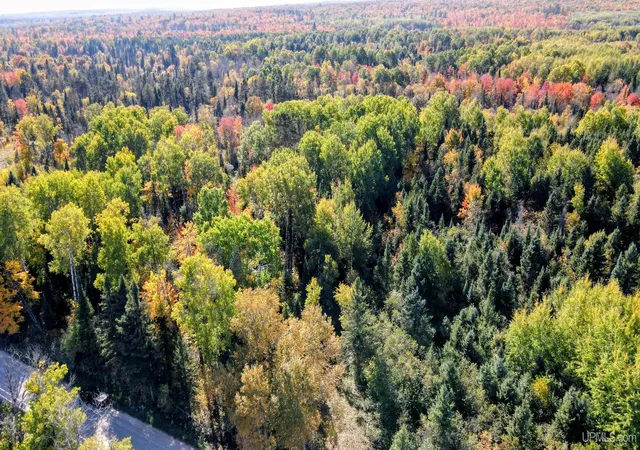 Photo 2 of Land for sale at Tbd Horoscope Rd, Pelkie, MI 49958 | MLS# 50224344 | Listing updated on 2026-10-10