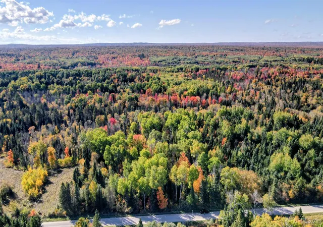 Photo 3 of Land for sale at Tbd Horoscope Rd, Pelkie, MI 49958 | MLS# 50224344 | Listing updated on 2026-10-10