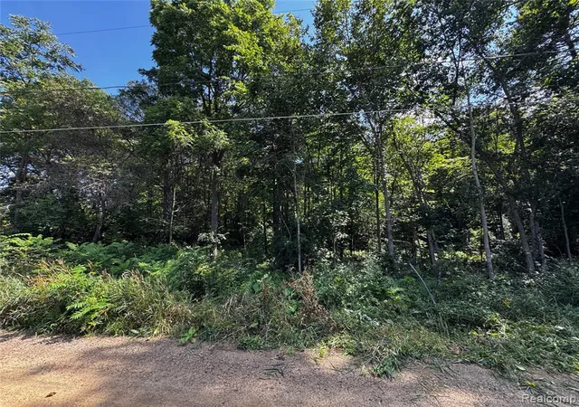 Photo 1 of Land for sale at 12195 Softwater Lake Dr, Linden, MI 48451 | MLS# 61024460 | Listing updated on 2026-09-02