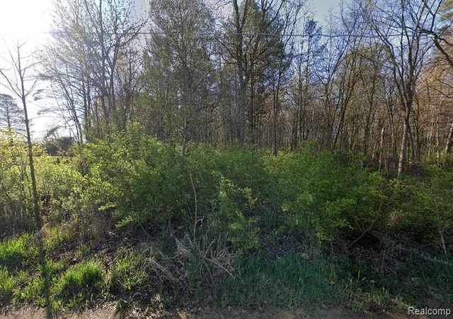 Photo 3 of Land for sale at 12195 Softwater Lake Dr, Linden, MI 48451 | MLS# 61024460 | Listing updated on 2026-09-02