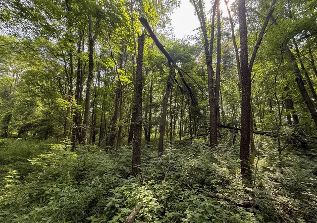 Photo 2 of Land for sale at Vl Whitetail Ridge, Dowagiac, MI 49047 | MLS# 70543646 | Listing updated on 2026-10-12