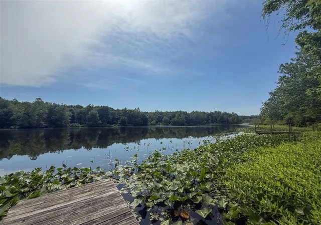 Photo 4 of Land for sale at Vl Whitetail Ridge, Dowagiac, MI 49047 | MLS# 70543646 | Listing updated on 2026-10-12