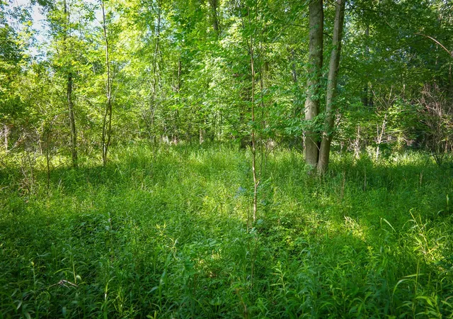 Photo 1 of Land for sale at V/l S 12a 168th Ave, Hesperia, MI 49421 | MLS# 70562666 | Listing updated on 2026-10-05
