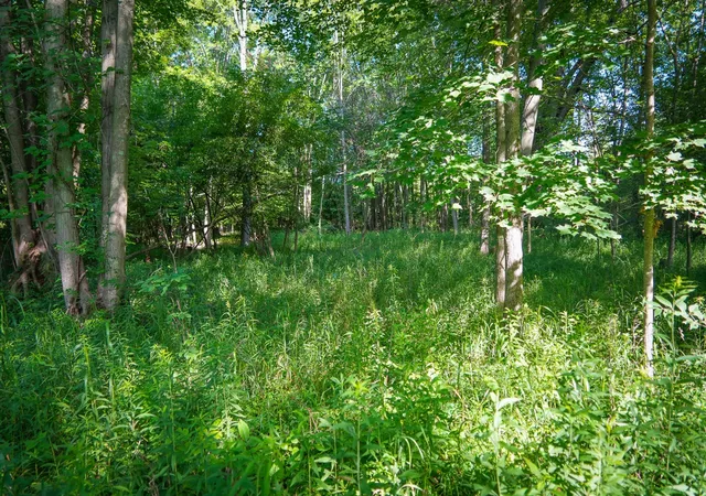 Photo 2 of Land for sale at V/l S 12a 168th Ave, Hesperia, MI 49421 | MLS# 70562666 | Listing updated on 2026-10-05