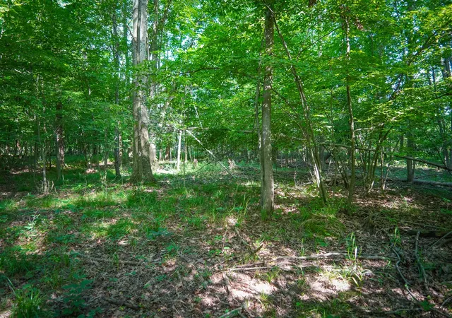 Photo 3 of Land for sale at V/l S 12a 168th Ave, Hesperia, MI 49421 | MLS# 70562666 | Listing updated on 2026-10-05