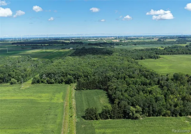 Photo 3 of Sale Pending at 000 Parisville Rd, Minden City, MI 48456 | MLS# 61023895 | Listing updated on 2026-09-05