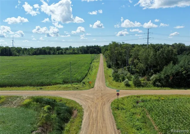 Photo 4 of Sale Pending at 000 Parisville Rd, Minden City, MI 48456 | MLS# 61023895 | Listing updated on 2026-09-05