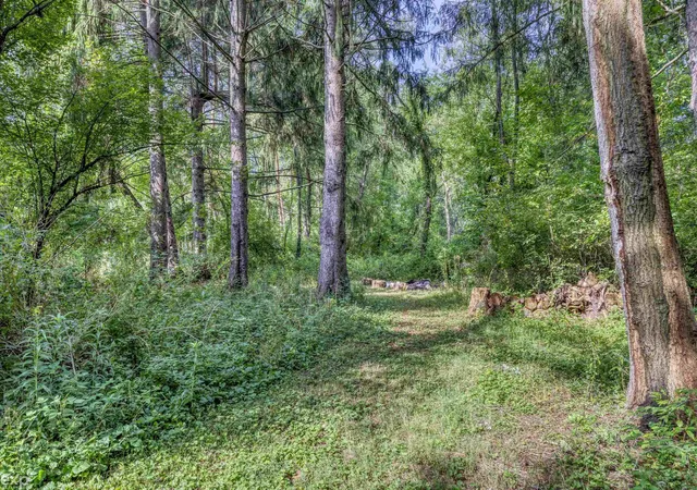 Photo 4 of Single family home for sale at 60685 Mt Vernon Rd, Rochester, MI 48306 | MLS# 50221313 | Listing updated on 2026-09-10