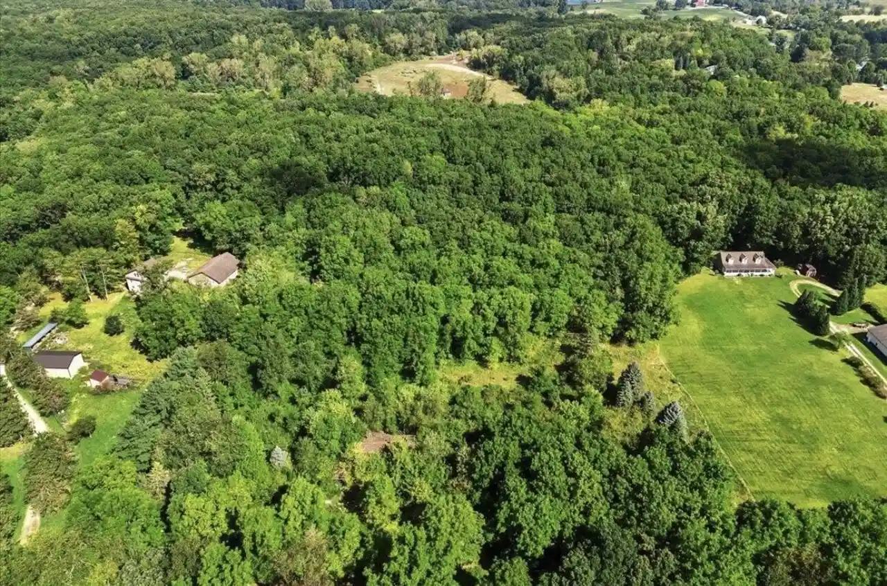 Photo 1 of Land for sale at 19200 Stonefield Dr, Manchester, MI 48158 | MLS# 70557114 | Listing updated on 2026-10-28