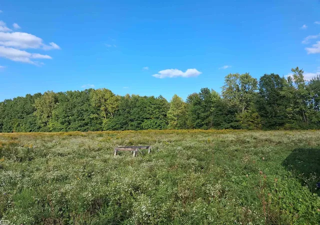 Photo 1 of Land for sale at 0 Short Cut A Rd, Marine City, MI 48039 | MLS# 50223032 | Listing updated on 2026-09-25