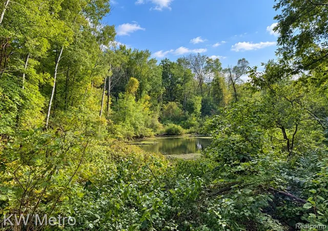 Photo 1 of Land for sale at Vl Sister Lake Rd, Otter Lake, MI 48464 | MLS# 61028186 | Listing updated on 2026-09-08