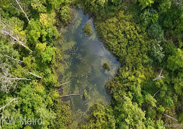 Photo 2 of Land for sale at Vl Sister Lake Rd, Otter Lake, MI 48464 | MLS# 61028186 | Listing updated on 2026-09-08