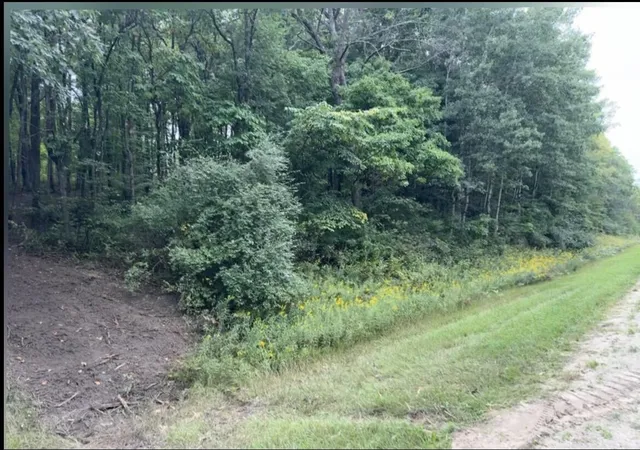 Photo 1 of Land for sale at V/l E 88th Street, Howard City, MI 49329 | MLS# 70557371 | Listing updated on 2026-09-12