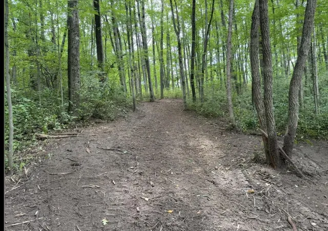 Photo 2 of Land for sale at V/l E 88th Street, Howard City, MI 49329 | MLS# 70557371 | Listing updated on 2026-09-12