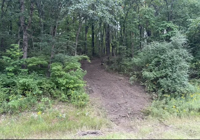 Photo 3 of Land for sale at V/l E 88th Street, Howard City, MI 49329 | MLS# 70557371 | Listing updated on 2026-09-12