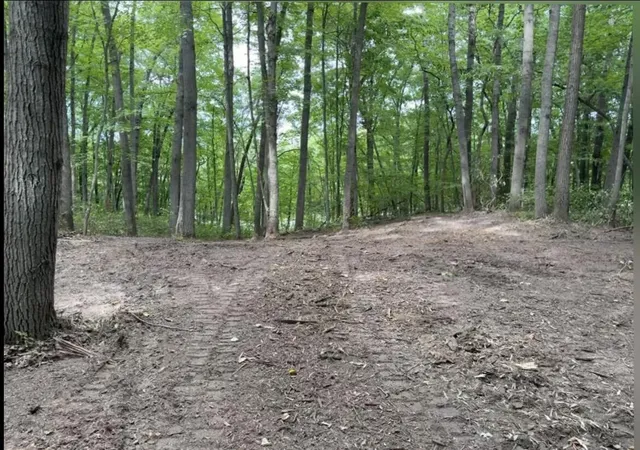 Photo 4 of Land for sale at V/l E 88th Street, Howard City, MI 49329 | MLS# 70557371 | Listing updated on 2026-09-12
