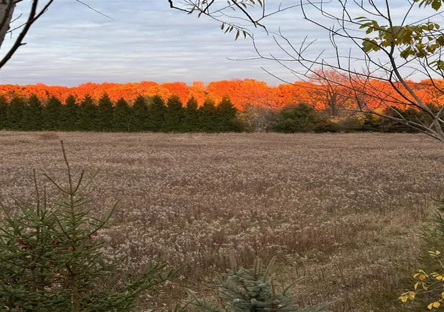 Land for sale at 2260 N Gibbs Rd, Albion, MI 49224 | MLS# 70556521