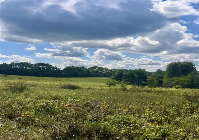 Photo 3 of Land for sale at 2260 N Gibbs Rd, Albion, MI 49224 | MLS# 70556521 | Listing updated on 2026-09-03