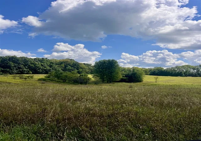 Photo 3 of Land for sale at 2260 N Gibbs Rd, Albion, MI 49224 | MLS# 70556521 | Listing updated on 2026-09-03