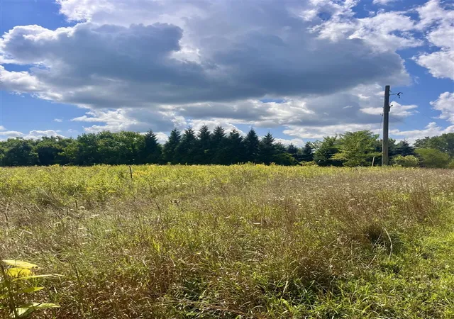 Photo 4 of Land for sale at 2260 N Gibbs Rd, Albion, MI 49224 | MLS# 70556521 | Listing updated on 2026-09-03