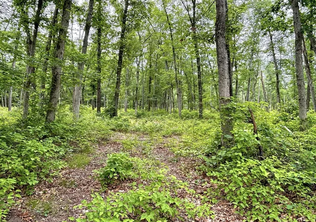 Photo 3 of Land for sale at 5064 W 109th Avenue, Pullman, MI 49450 | MLS# 70556069 | Listing updated on 2026-09-05