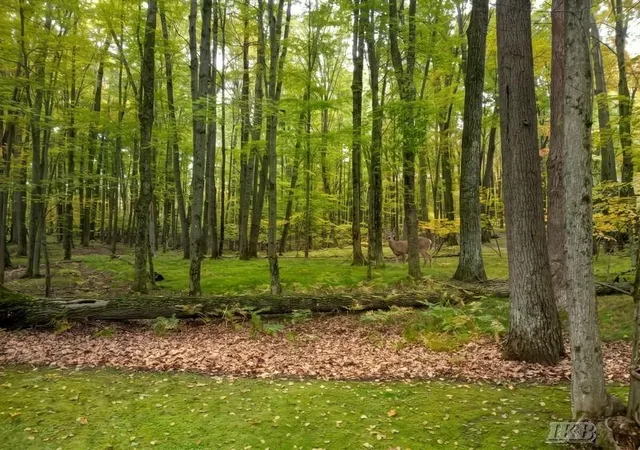 Photo 4 of Sale Pending at 1449 Beech Ln, Farwell, MI 48622 | MLS# 50224626 | Listing updated on 2026-10-26