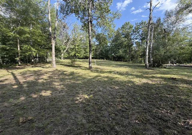 Photo 3 of Land for sale at 1140 Birch Ridge Rd, Gladwin, MI 48624 | MLS# 70564062 | Listing updated on 2026-10-13