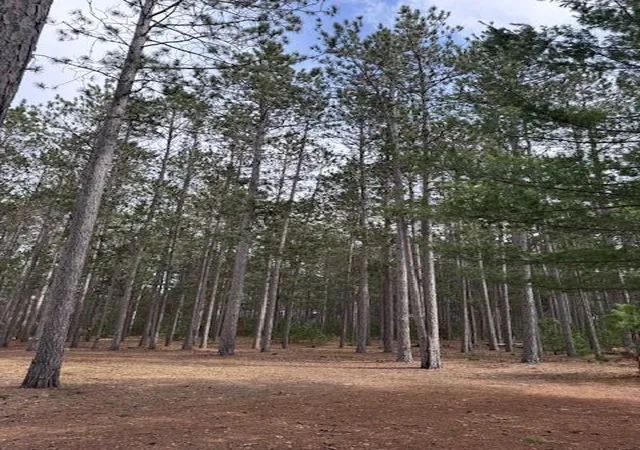 Photo 3 of Sale Pending at 22440 11 Mile Rd, Reed City, MI 49677 | MLS# 70525292 | Listing updated on 2026-09-09