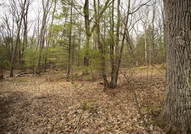Photo 3 of Land for sale at 00 NE Bailey St, Kalkaska, MI 49646 | MLS# 80073133 | Listing updated on 2026-09-05