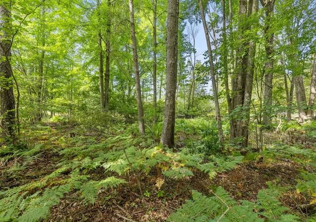 Photo 2 of Land for sale at V/l Blackfoot Trl, Howard City, MI 49329 | MLS# 70559312 | Listing updated on 2026-09-25
