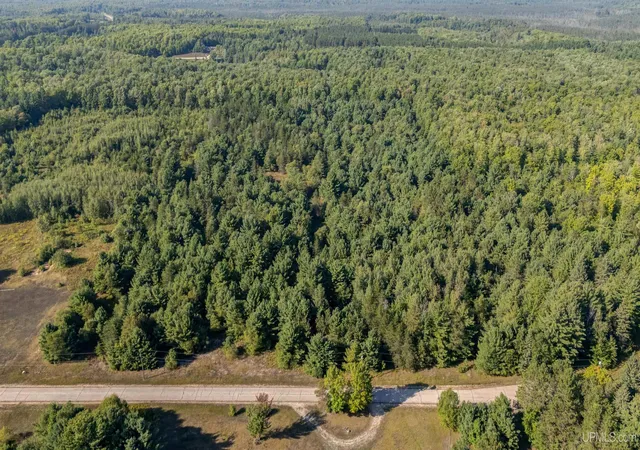 Photo 3 of Sale Pending at Tbd Brown Rd, Manistique, MI 49854 | MLS# 50220838 | Listing updated on 2026-09-10