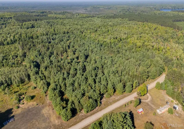 Photo 3 of Sale Pending at Tbd Brown Rd, Manistique, MI 49854 | MLS# 50220838 | Listing updated on 2026-09-10