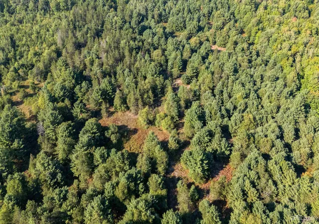 Photo 4 of Sale Pending at Tbd Brown Rd, Manistique, MI 49854 | MLS# 50220838 | Listing updated on 2026-09-10