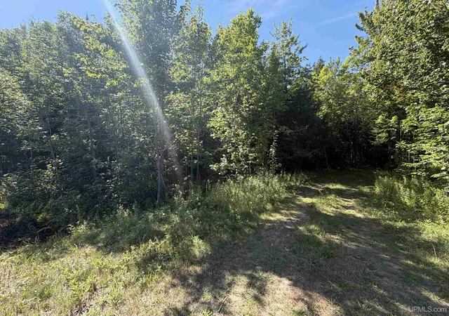 Photo 2 of Sale Pending at Tbd Co Rd 550, Marquette, MI 49808 | MLS# 50220748 | Listing updated on 2026-09-17