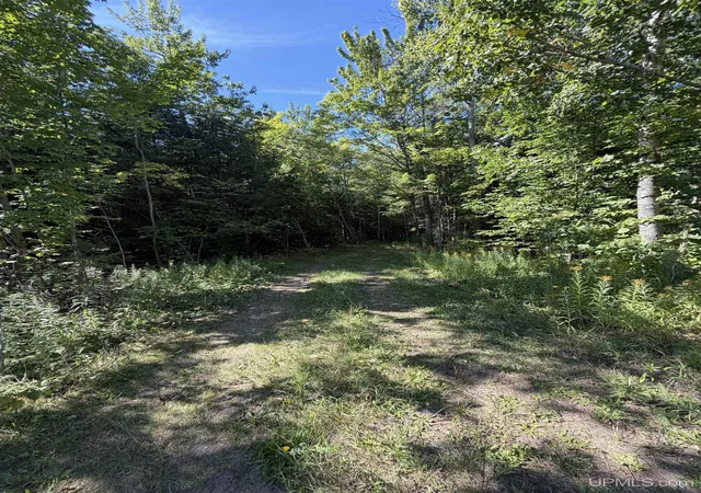 Photo 3 of Sale Pending at Tbd Co Rd 550, Marquette, MI 49808 | MLS# 50220748 | Listing updated on 2026-09-17