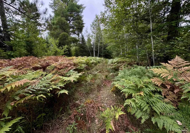 Photo 1 of Land for sale at 35 Acres Off County Rd Co, Ishpeming, MI 49849 | MLS# 50220270 | Listing updated on 2026-09-22
