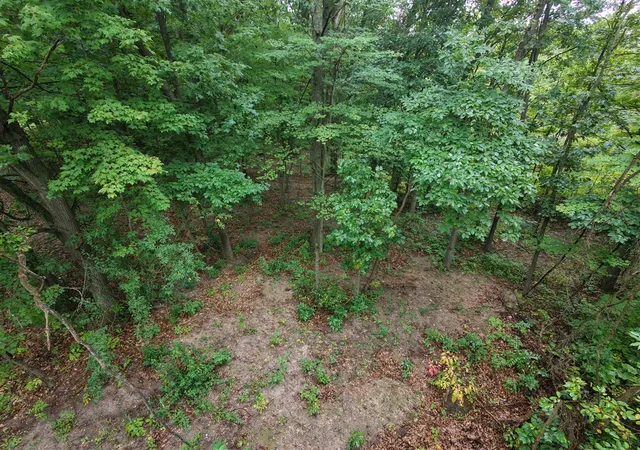 Photo 1 of Land for sale at 12998 Bowen Lake Dr, Gowen, MI 49326 | MLS# 70559529 | Listing updated on 2026-09-18