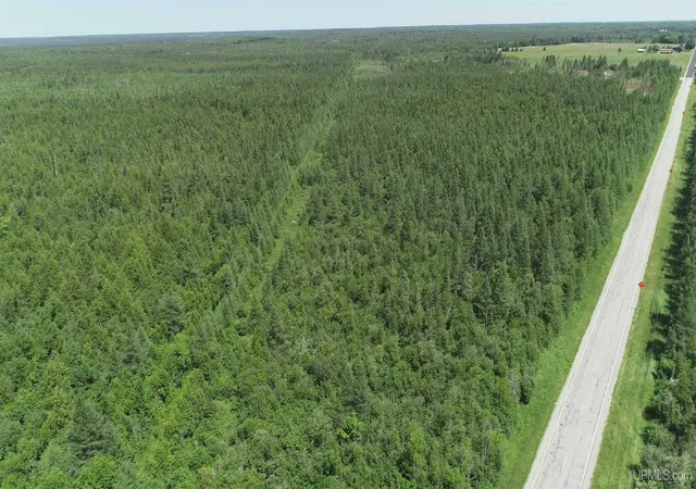 Photo 1 of Land for sale at 252 Acres River Rd, Gulliver, MI 49840 | MLS# 50190040 | Listing updated on 2026-09-08