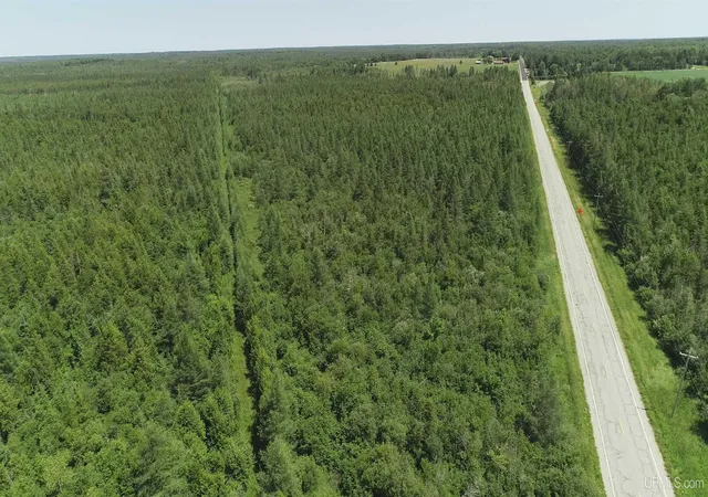 Photo 2 of Land for sale at 252 Acres River Rd, Gulliver, MI 49840 | MLS# 50190040 | Listing updated on 2026-09-08