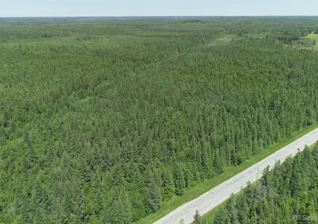 Photo 3 of Land for sale at 252 Acres River Rd, Gulliver, MI 49840 | MLS# 50190040 | Listing updated on 2026-09-08