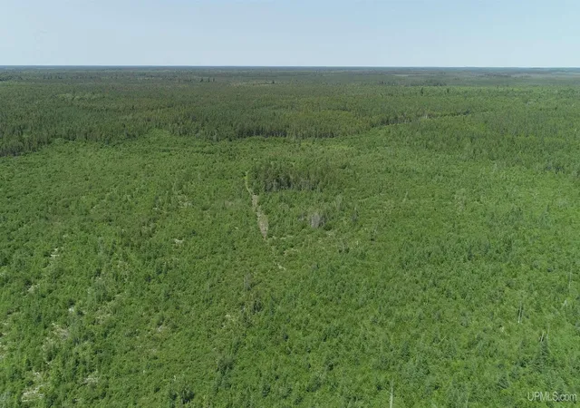Photo 3 of Land for sale at 252 Acres River Rd, Gulliver, MI 49840 | MLS# 50190040 | Listing updated on 2026-09-08