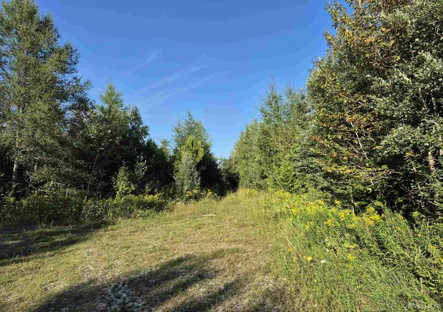 Photo 4 of Land for sale at 252 Acres River Rd, Gulliver, MI 49840 | MLS# 50190040 | Listing updated on 2026-09-08