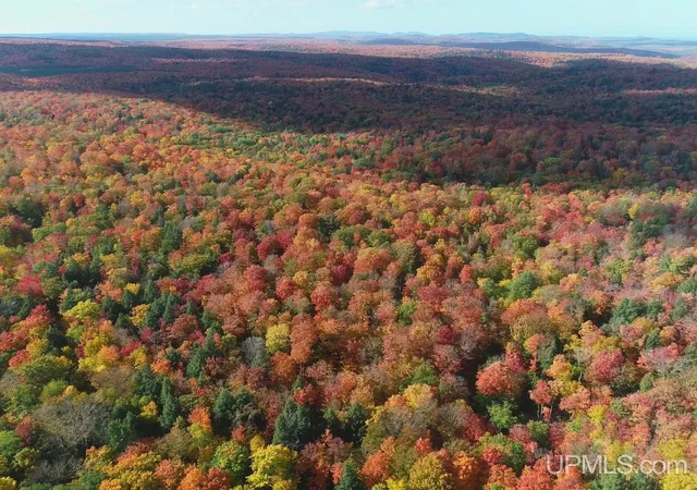 Photo 1 of Land for sale at 80 Acres Co Rd 510, Ishpeming, MI 49849 | MLS# 50223512 | Listing updated on 2026-10-12