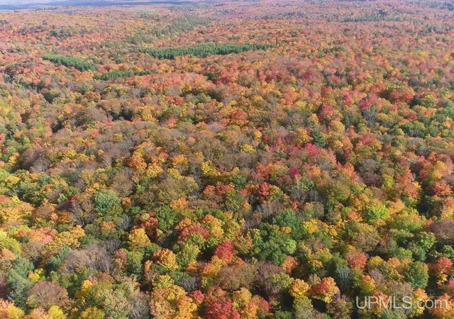 Photo 2 of Land for sale at 80 Acres Co Rd 510, Ishpeming, MI 49849 | MLS# 50223512 | Listing updated on 2026-10-12
