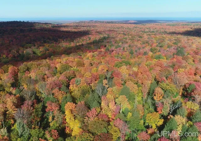 Photo 3 of Land for sale at 80 Acres Co Rd 510, Ishpeming, MI 49849 | MLS# 50223512 | Listing updated on 2026-10-12